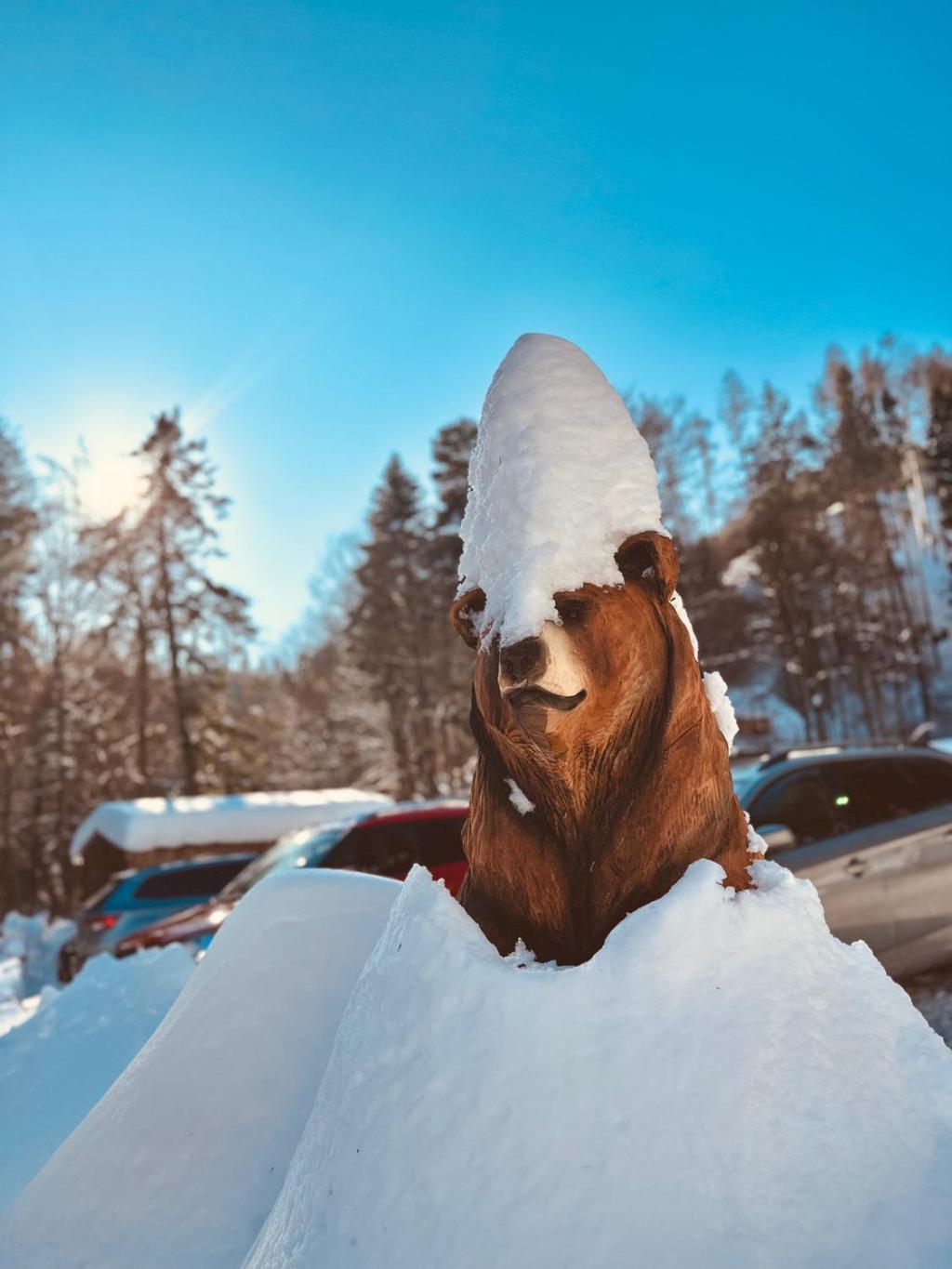 Chaty Ferrata Мартин Экстерьер фото